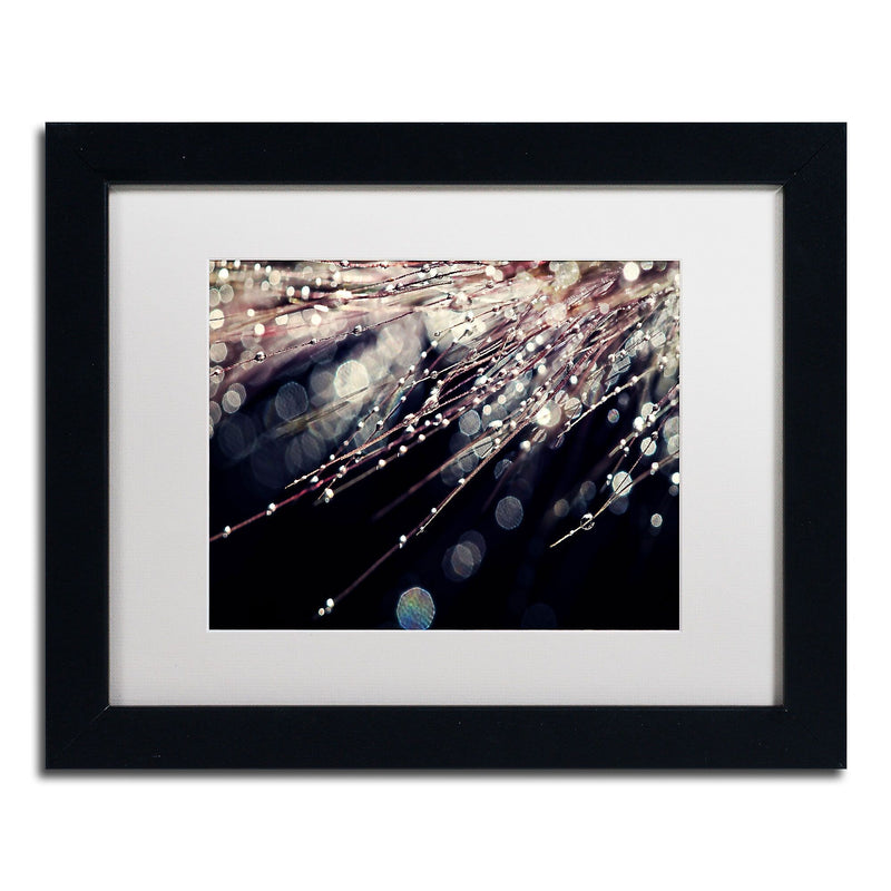 Trademark Fine Art BC0129-B1114MF Little Wonders by Beata Czyzowska Young 11x14 FRM Art, WHT MTD