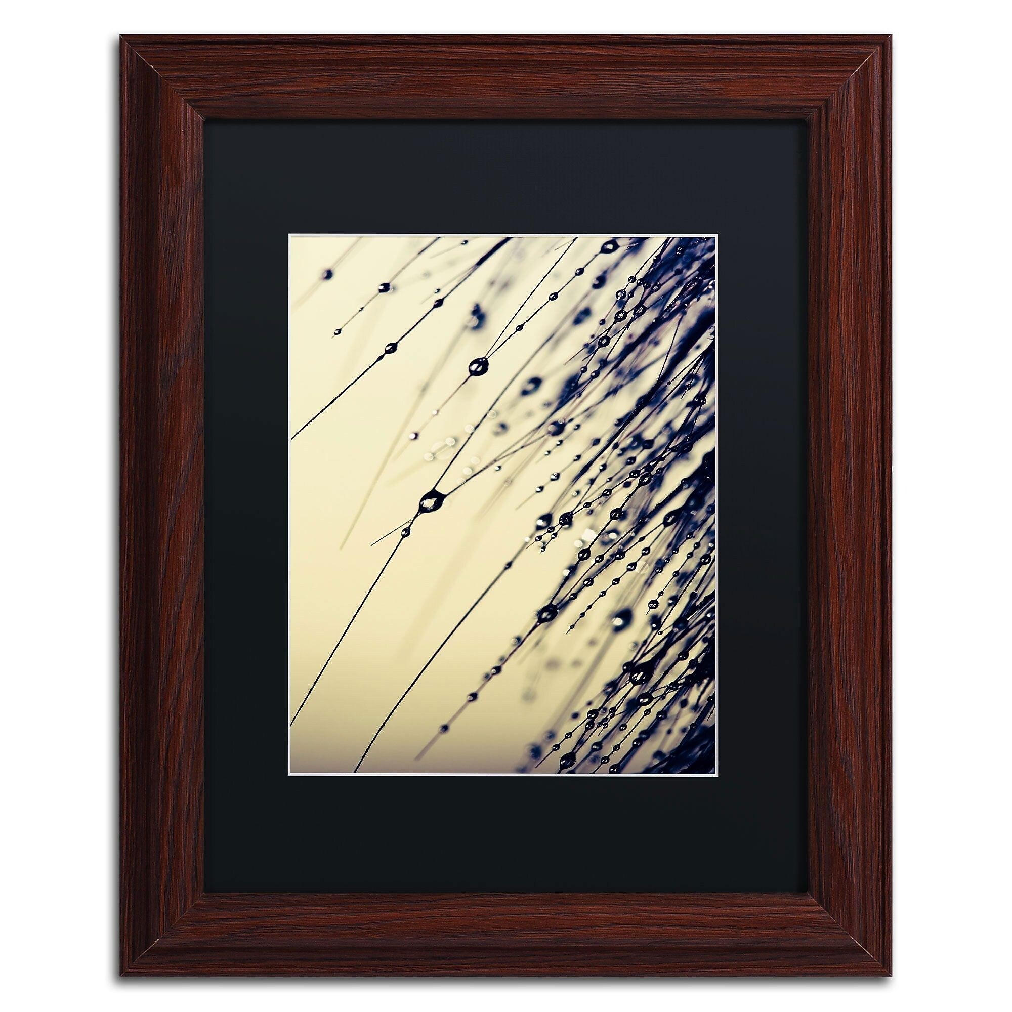 Trademark Fine Art Music of Yesterday by Beata Czyzowska Young 14x11 FRM Art, BLK MTD (BC0135-W1114BMF)