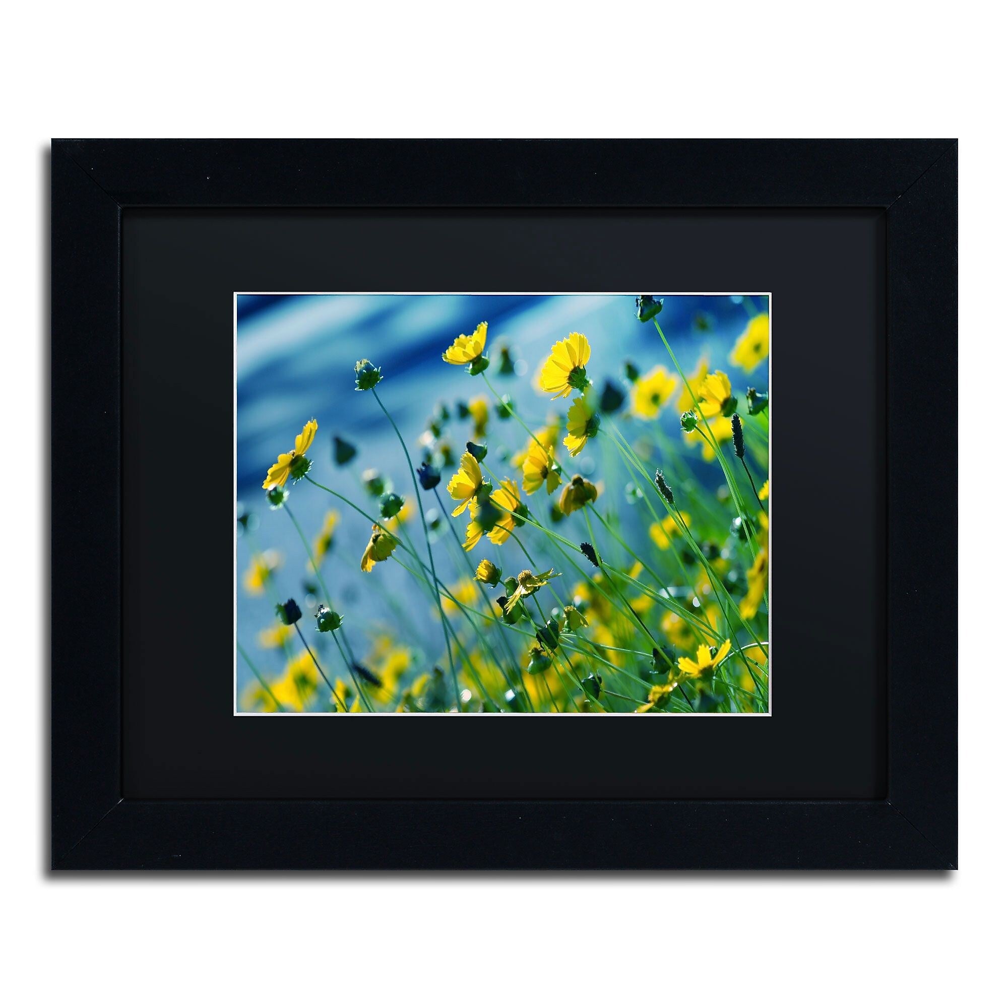 Trademark Fine Art BC0141-B1114BMF Power in Flower by Beata Czyzowska Young 11x14 FRM Art, BLK MTD