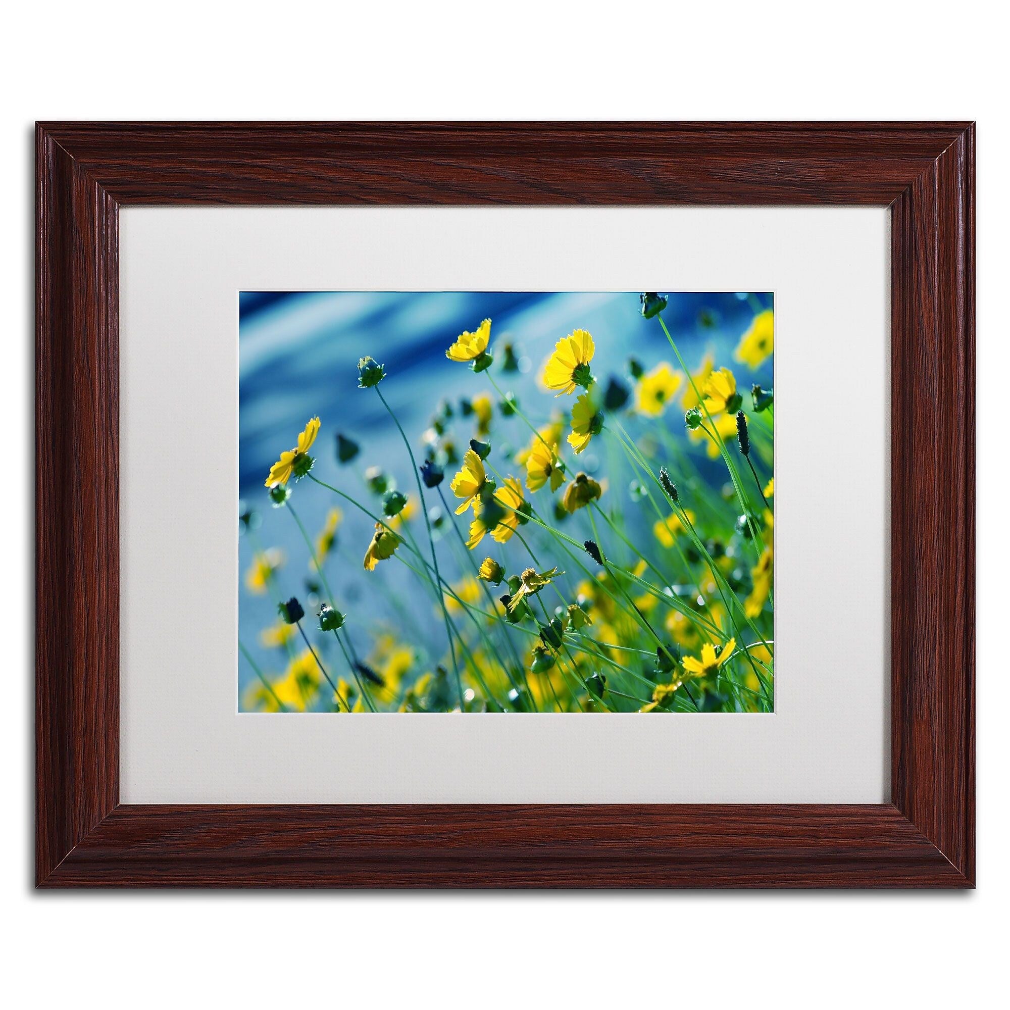 Trademark Fine Art BC0141-W1114MF Power in Flower by Beata Czyzowska Young 11x14 FRM Art, WHT MTD