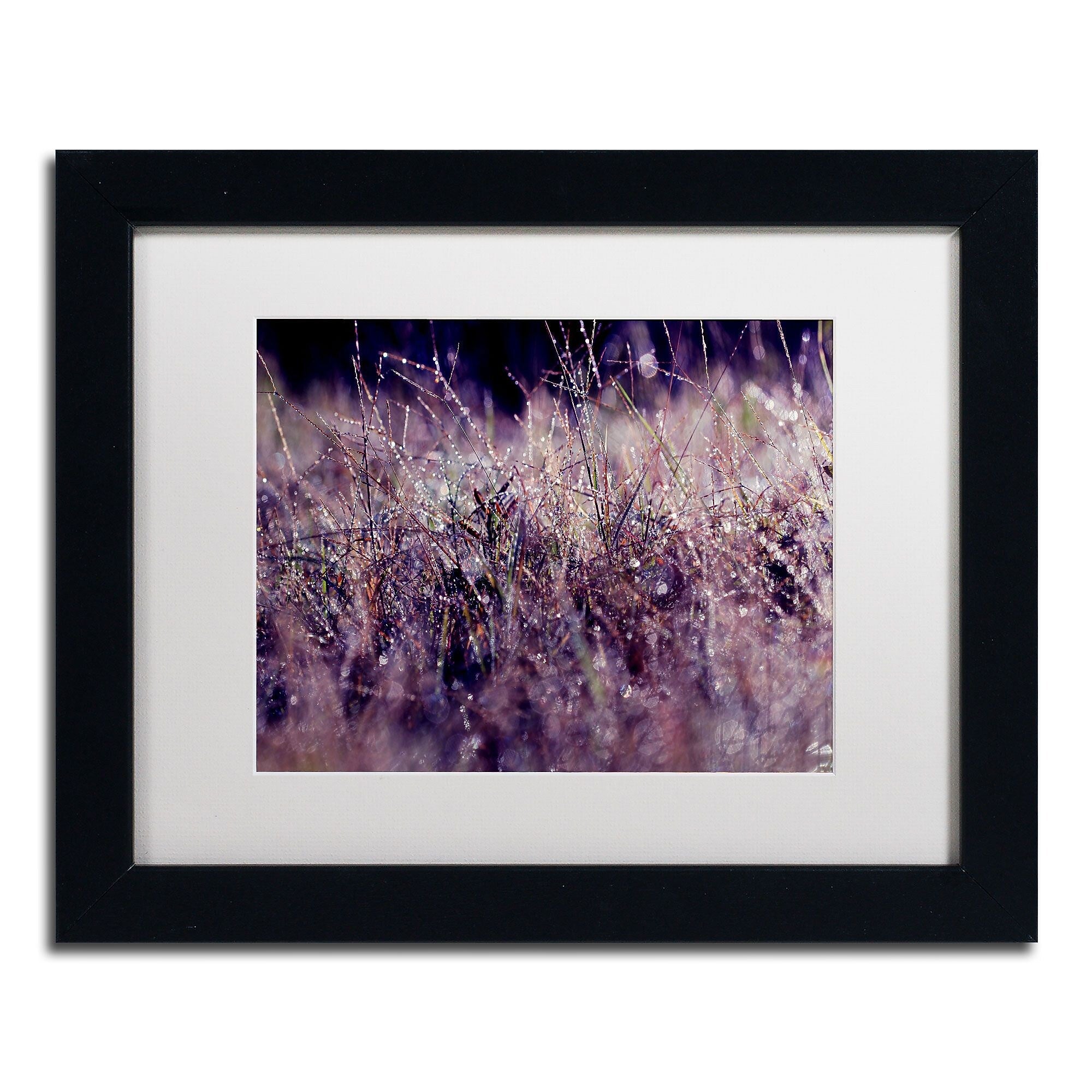 Trademark Fine Art BC0143-B1114MF "Purple Rain" by Beata Czyzowska Young 11" x 14" FRM Art, WHT MTD