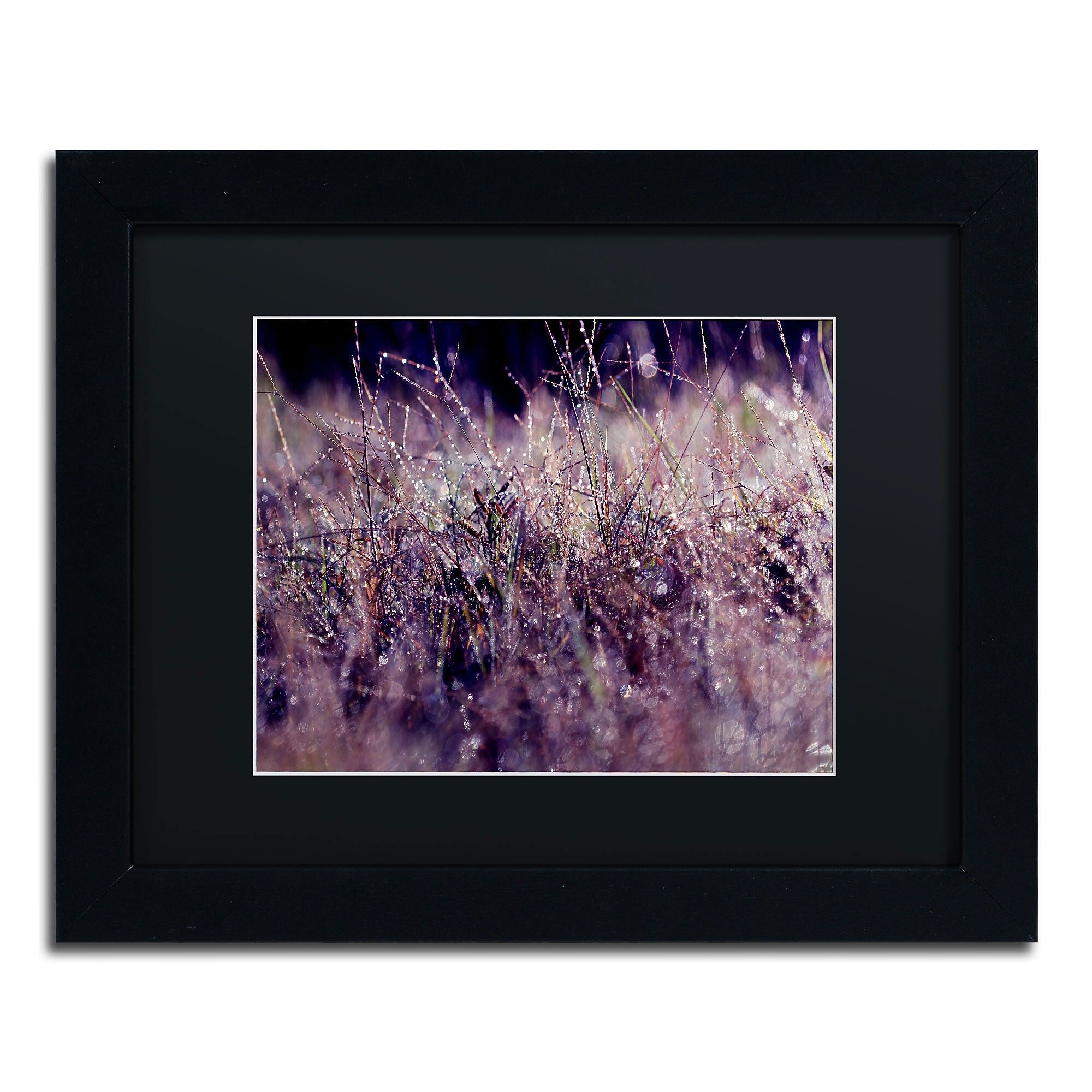 Trademark Fine Art BC0143-B1114BMF "Purple Rain" by Beata Czyzowska Young 11" x 14" FRM Art, BLK MTD