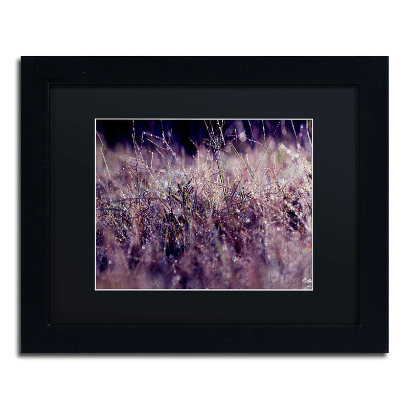 Trademark Fine Art BC0143-B1114BMF "Purple Rain" by Beata Czyzowska Young 11" x 14" FRM Art, BLK MTD