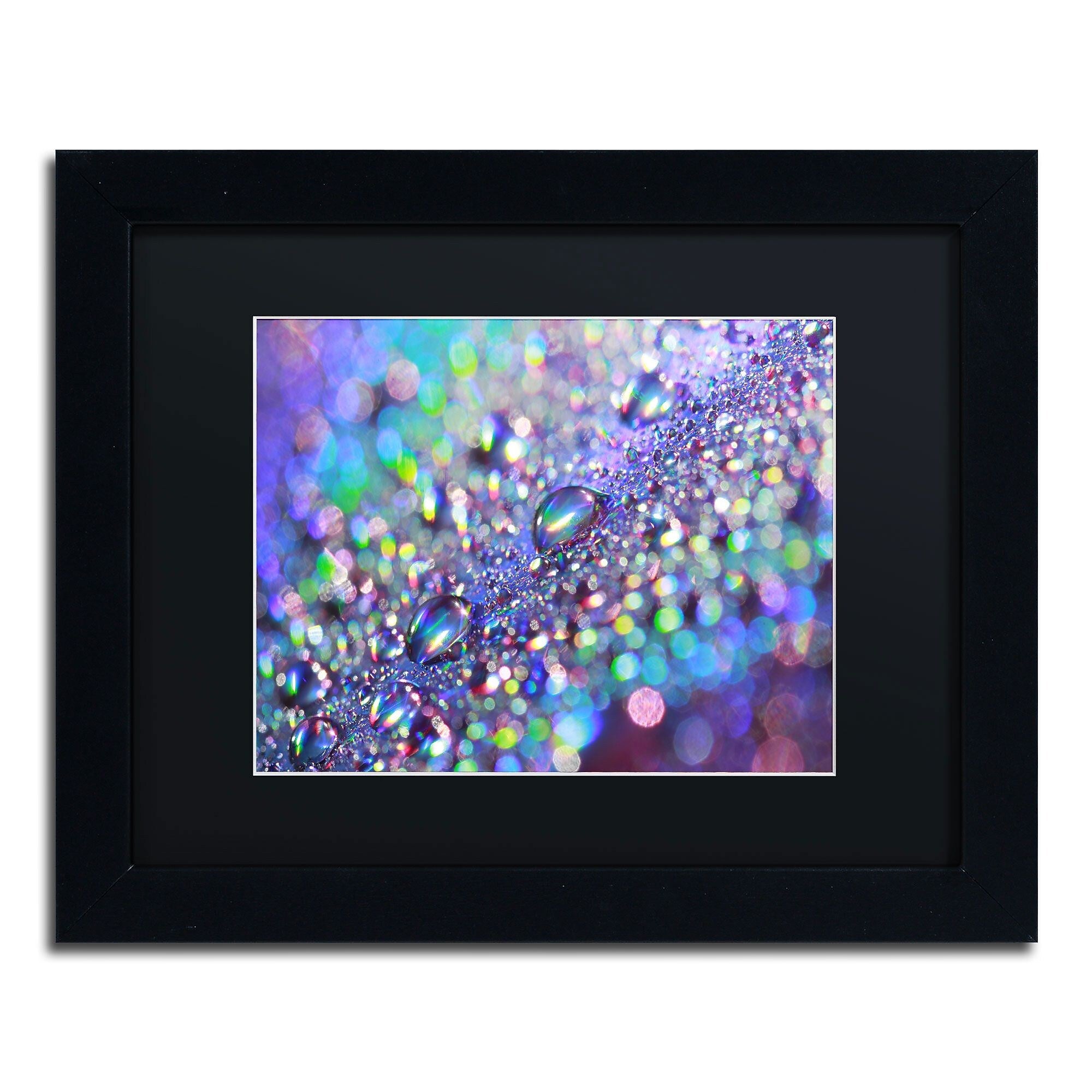 Trademark Fine Art Colours of Rainbow by Beata Czyzowska Young 11x14 FRM Art, BLK MTD