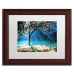 Trademark Fine Art BC0144-W1114MF "Rays of Hope" by Beata Czyzowska Young 11" x 14" FRM Art, WHT MTD