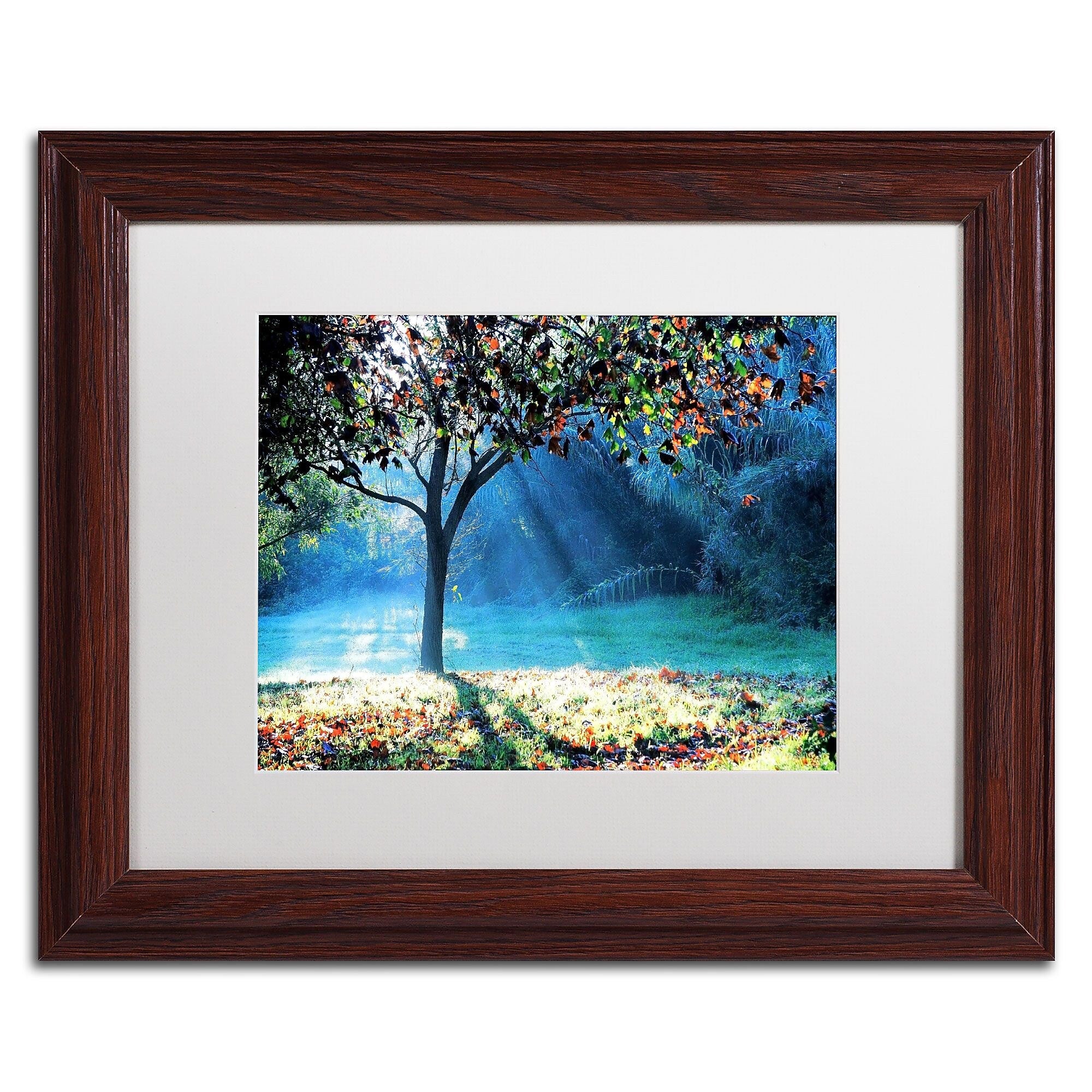 Trademark Fine Art BC0144-W1114MF "Rays of Hope" by Beata Czyzowska Young 11" x 14" FRM Art, WHT MTD