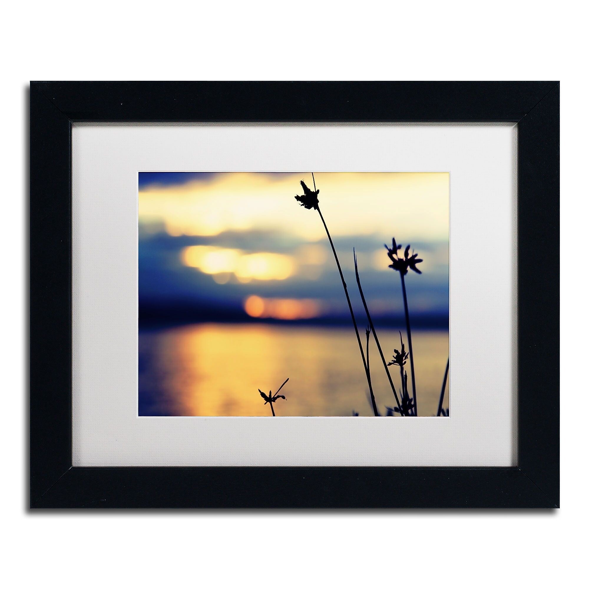 Trademark Fine Art BC0150-B1114MF Sunset Thoughts by Beata Czyzowska Young 11x14 FRM Art, WHT MTD