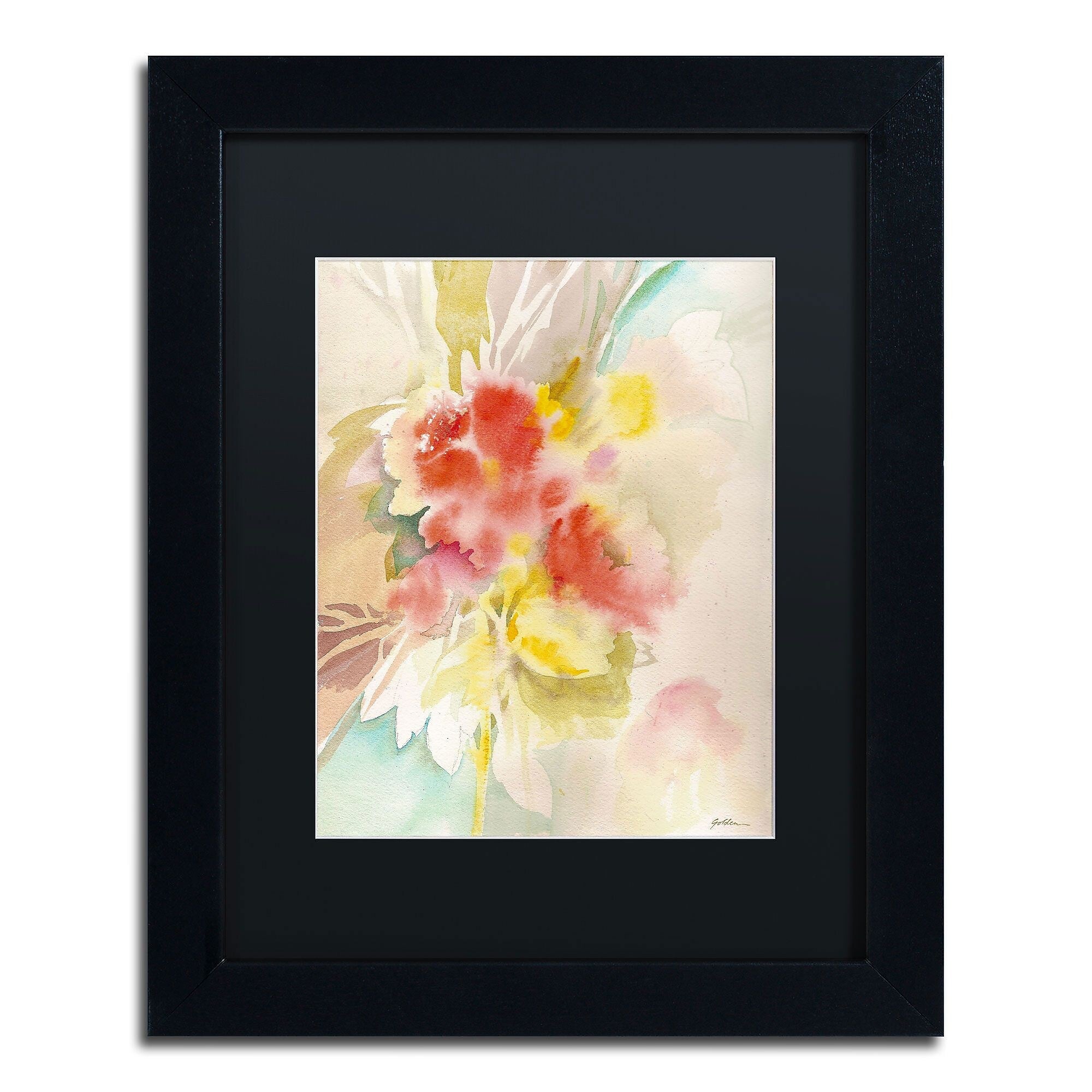 Trademark Fine Art SG5698-B1114BMF "Red Flower Shadows" by Sheila Golden 14" x 11" FRM Art, BLK MTD