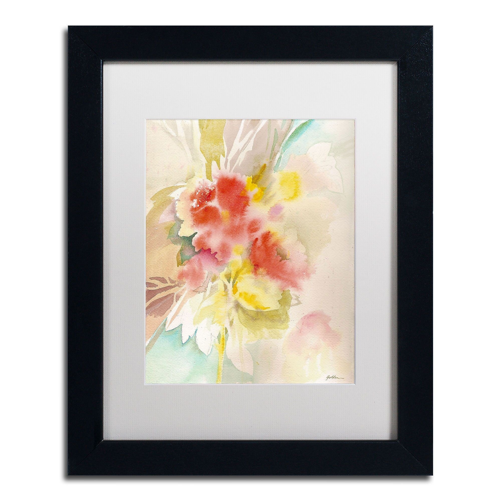 Trademark Fine Art SG5698-B1114MF "Red Flower Shadows" by Sheila Golden 14" x 11" FRM Art, WHT MTD