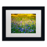 Trademark Fine Art PSL0332-B1114MF Candy Fields by Philippe Sainte-Laudy 11x14 FRM Art, WHT MTD