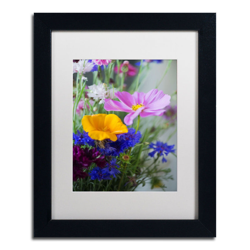 Trademark Fine Art PSL0334-B1114MF "Cosmo Duo" by Philippe Sainte-Laudy 14" x 11" FRM Art, WHT MTD