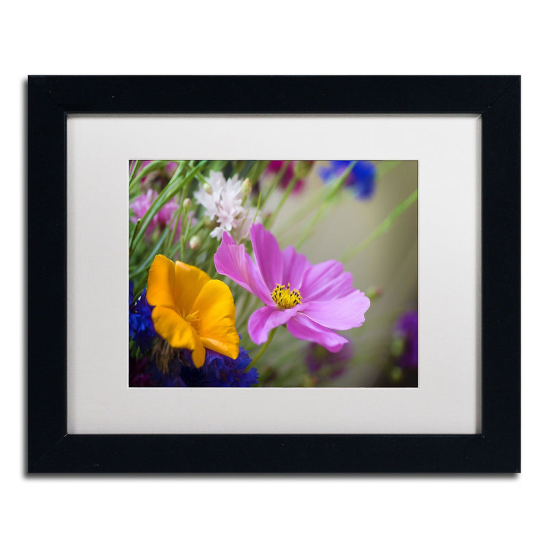 Trademark Fine Art Cosmos of the Fields by Philippe Sainte-Laudy 11x14 FRM Art, WHT MTD (PSL0335-B1114MF)