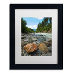 Trademark Fine Art PSL0310-B1114MF "Isolated" by Philippe Sainte-Laudy 11" x 14" Framed Art, WHT MTD