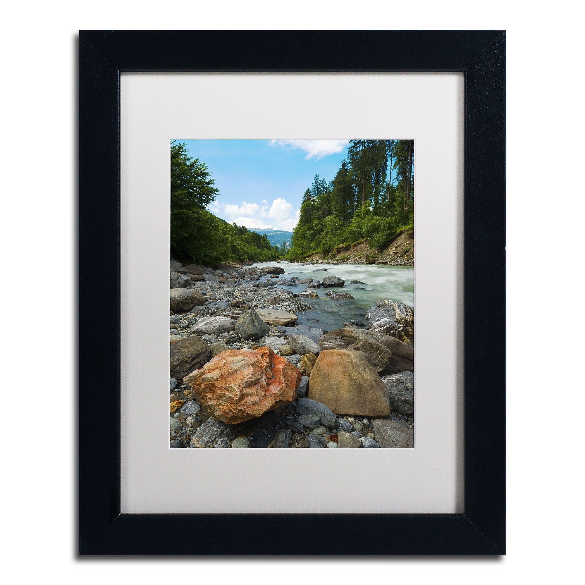 Trademark Fine Art PSL0310-B1114MF "Isolated" by Philippe Sainte-Laudy 11" x 14" Framed Art, WHT MTD