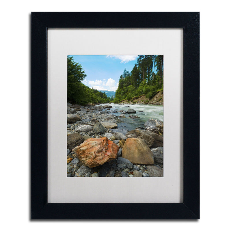 Trademark Fine Art PSL0310-B1114MF "Isolated" by Philippe Sainte-Laudy 11" x 14" Framed Art, WHT MTD