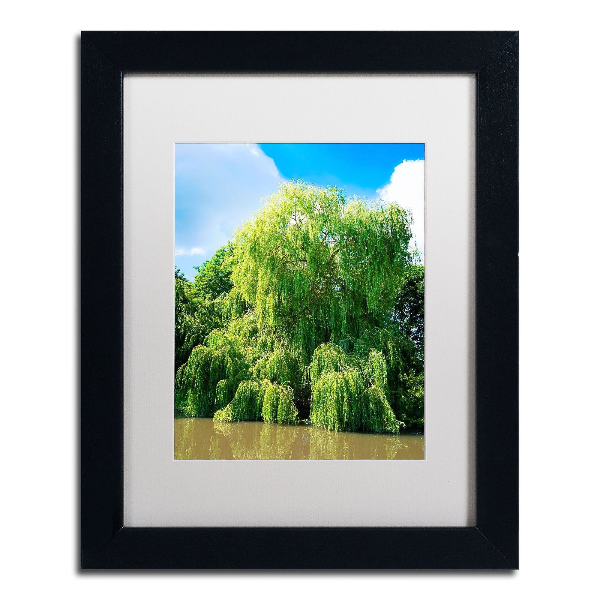 Trademark Fine Art PSL0329-B1114MF Weeping Willow by Philippe Sainte-Laudy 14x11 FRM Art, WHT MTD