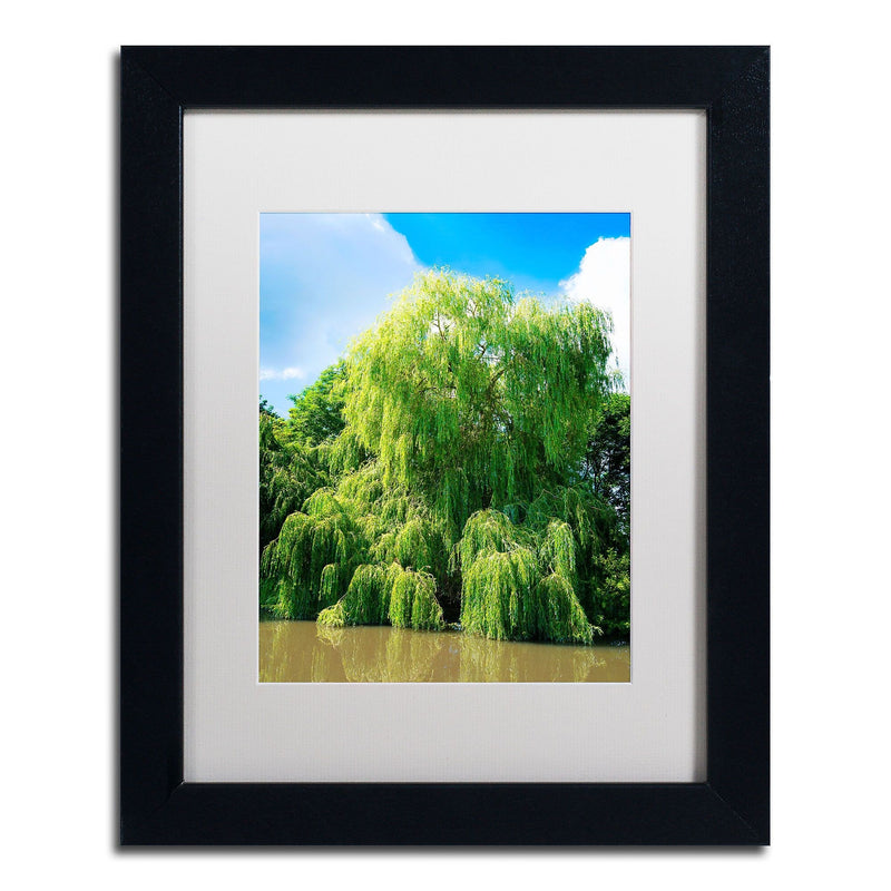 Trademark Fine Art PSL0329-B1114MF Weeping Willow by Philippe Sainte-Laudy 14x11 FRM Art, WHT MTD