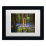 Trademark Fine Art RV0021-B1114MF "Mystical Forest" by Mathieu Rivrin 11" x 14" Framed Art, WHT MTD