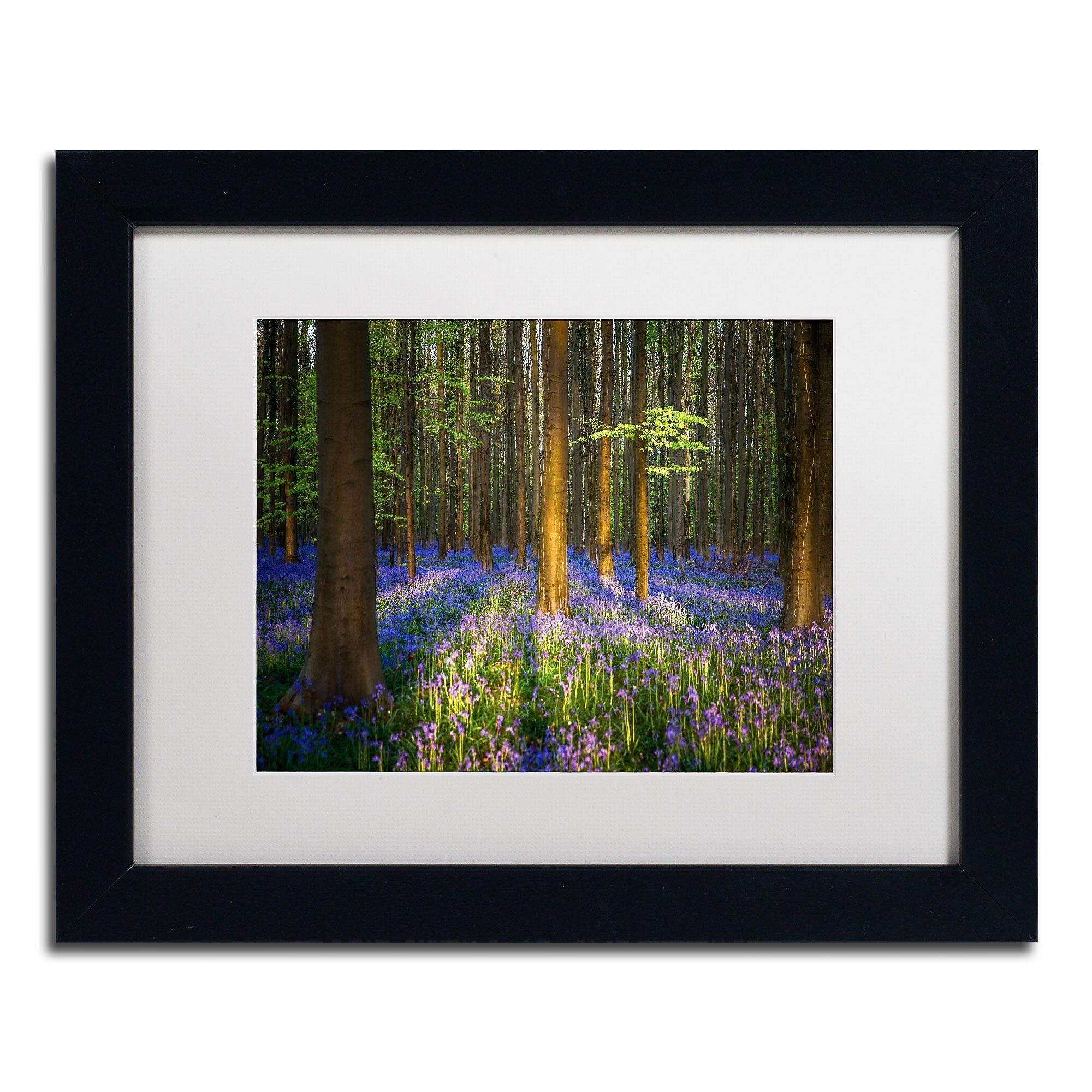 Trademark Fine Art RV0021-B1114MF "Mystical Forest" by Mathieu Rivrin 11" x 14" Framed Art, WHT MTD