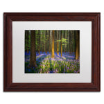 Trademark Fine Art RV0021-W1114MF "Mystical Forest" by Mathieu Rivrin 11" x 14" Framed Art, WHT MTD