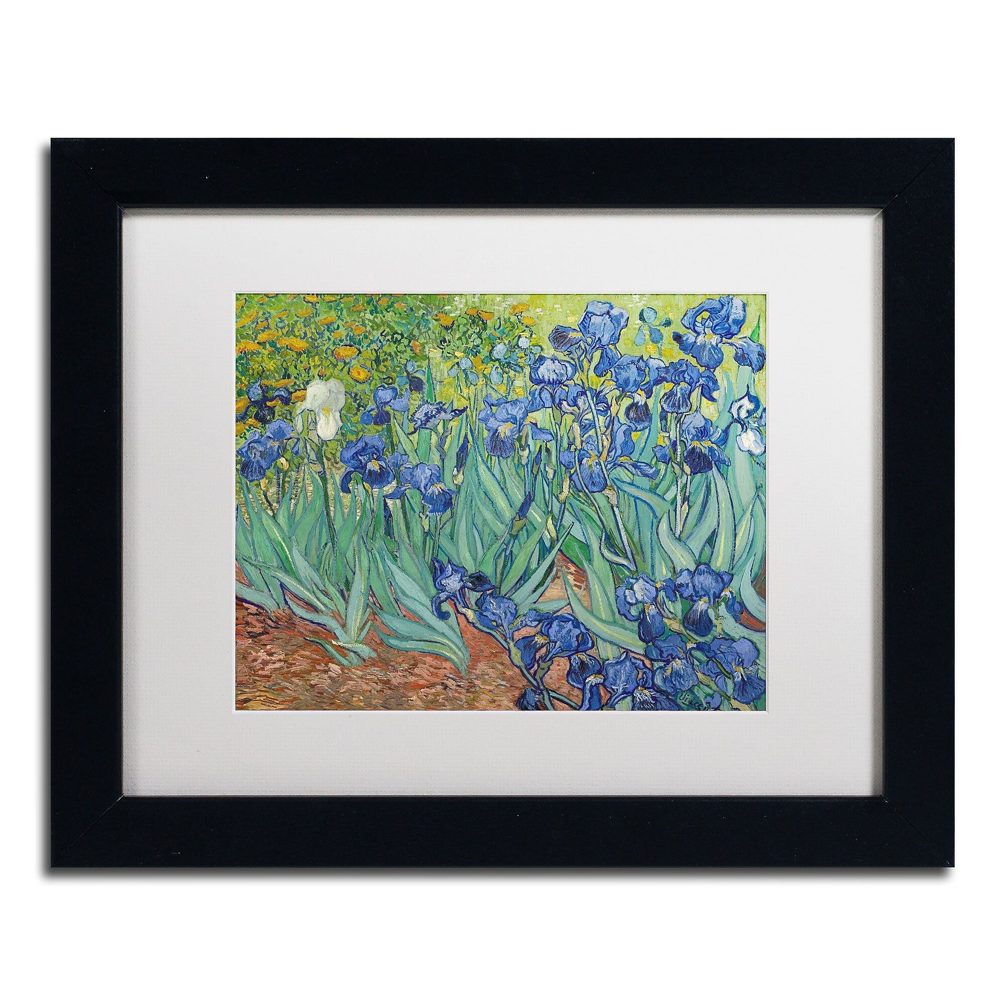 Trademark Fine Art BL0317-B1114MF "Irises, 1889" by Vincent van Gogh 11" x 14" Framed Art, WHT MTD