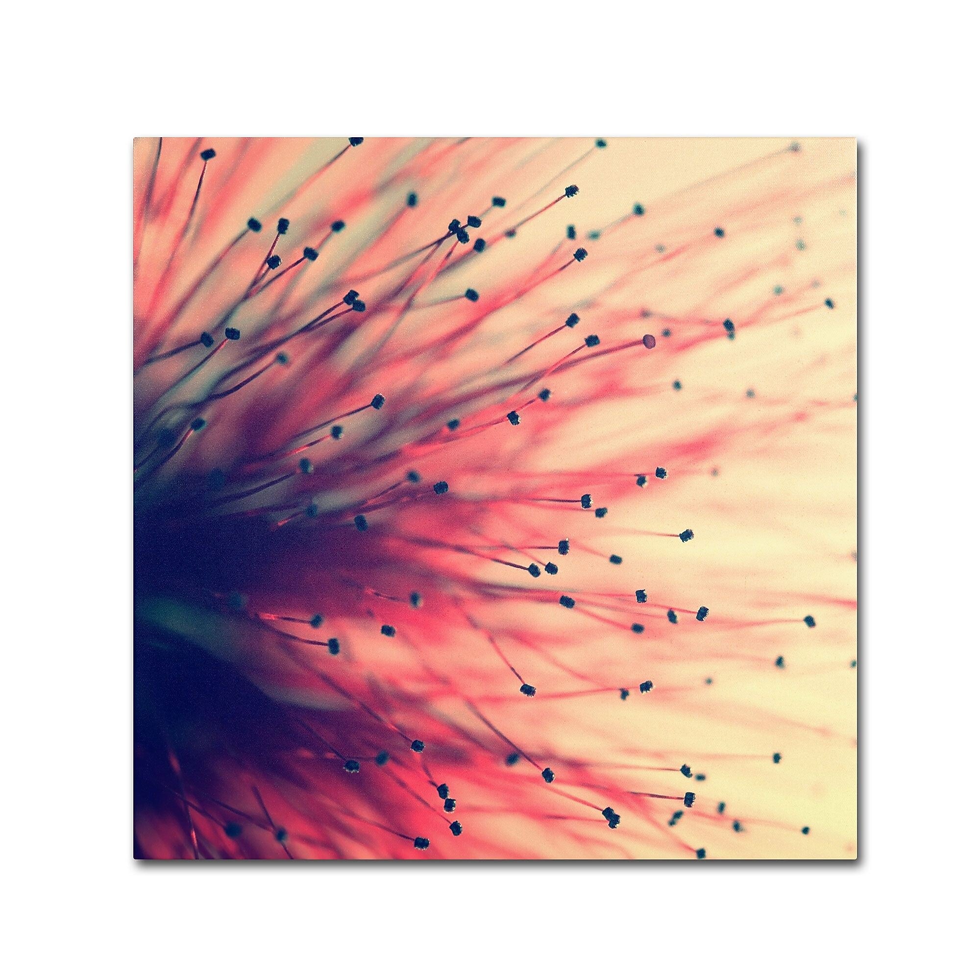 Trademark Fine Art BC0127-C3535GG "Into the Future" by Beata Czyzowska Young 35" x 35" Frameless Art
