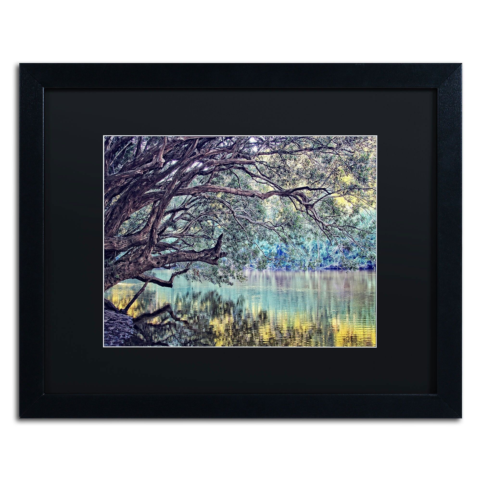 Trademark Fine Art BC0115-B1620BMF A Place to Dream by Beata Czyzowska Young 16x20 FRM Art, BLK MTD