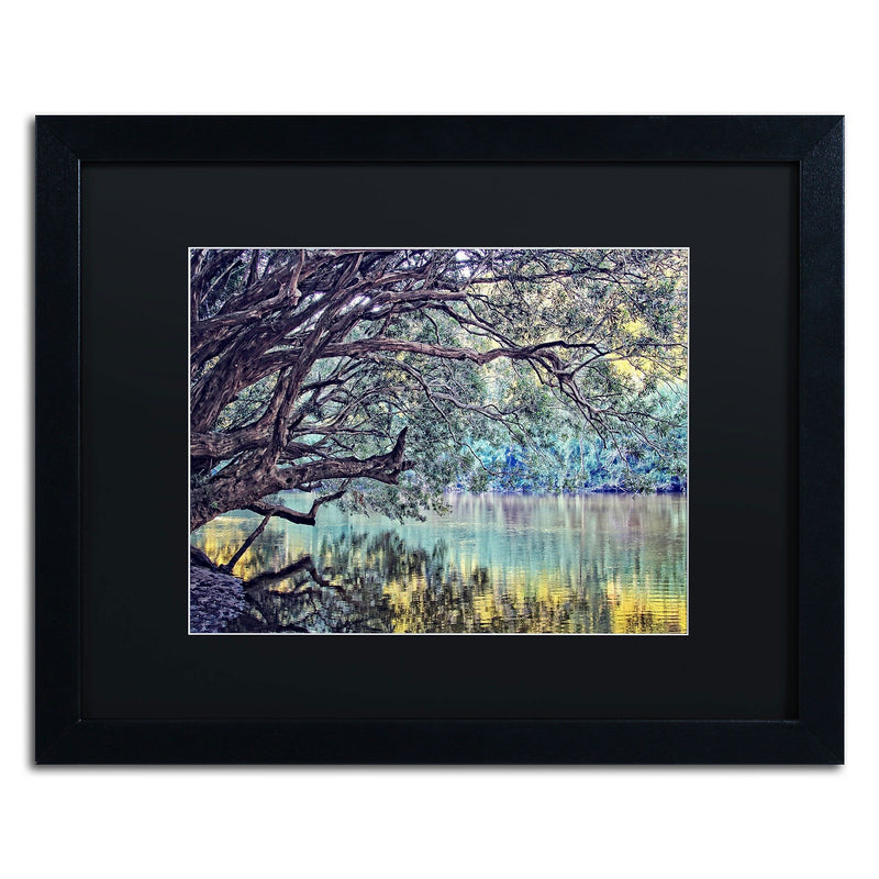 Trademark Fine Art BC0115-B1620BMF A Place to Dream by Beata Czyzowska Young 16x20 FRM Art, BLK MTD
