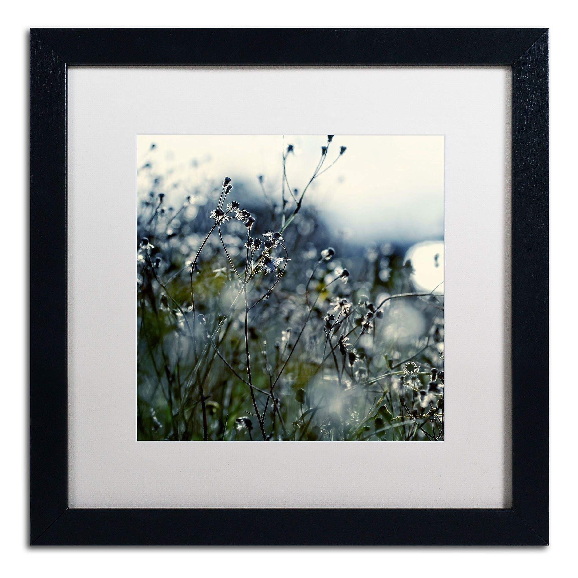 Trademark Fine Art BC0126-B1616MF "In Silence" by Beata Czyzowska Young 16" x 16" Framed Art
