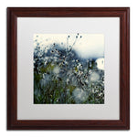 Trademark Fine Art BC0126-W1616MF "In Silence" by Beata Czyzowska Young 16" x 16" Framed Art
