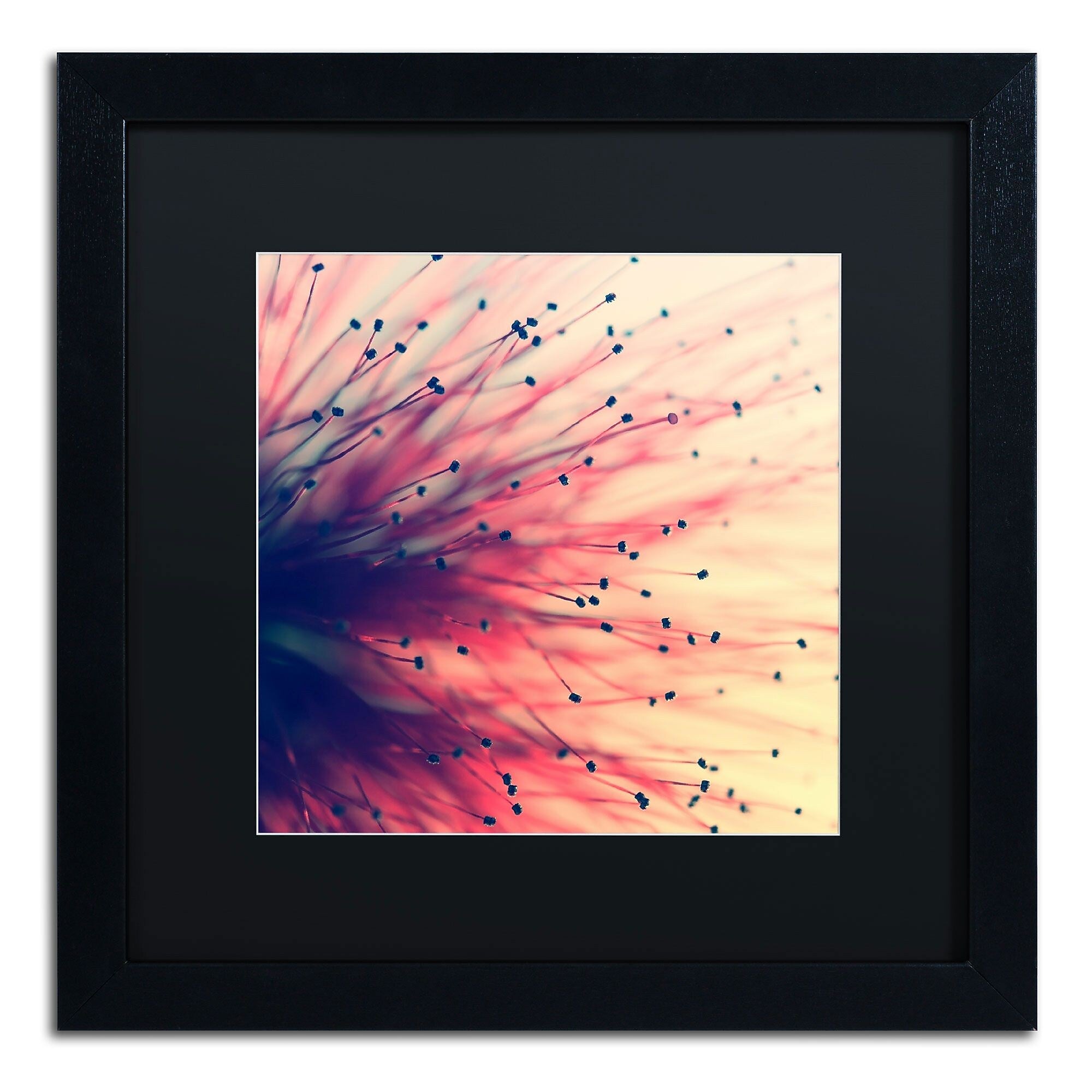 Trademark Fine Art BC0127-B1616BMF Into the Future by Beata Czyzowska Young 16x16 FRM Art, BLK MTD