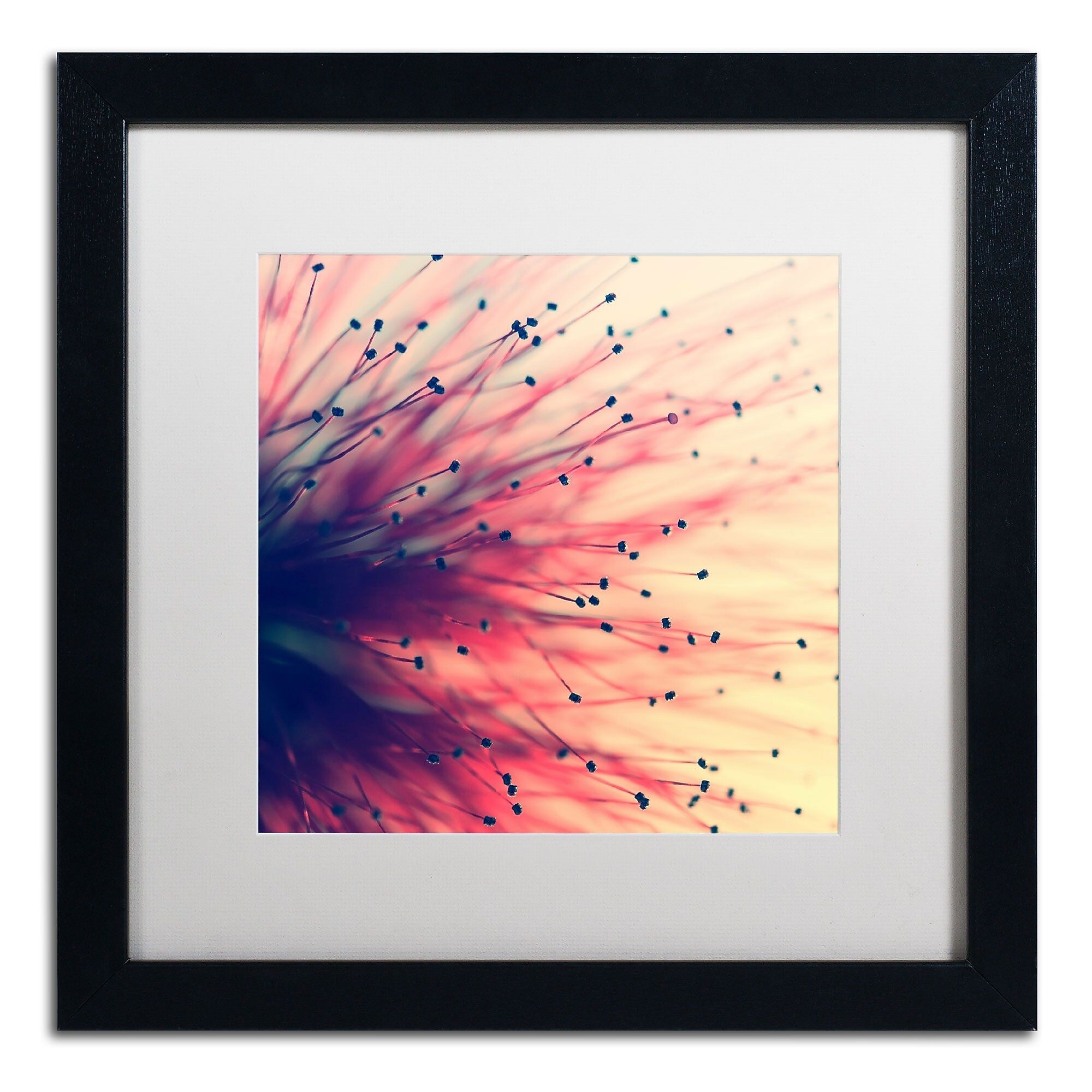 Trademark Fine Art BC0127-B1616MF Into the Future by Beata Czyzowska Young 16x16 FRM Art, WHT MTD