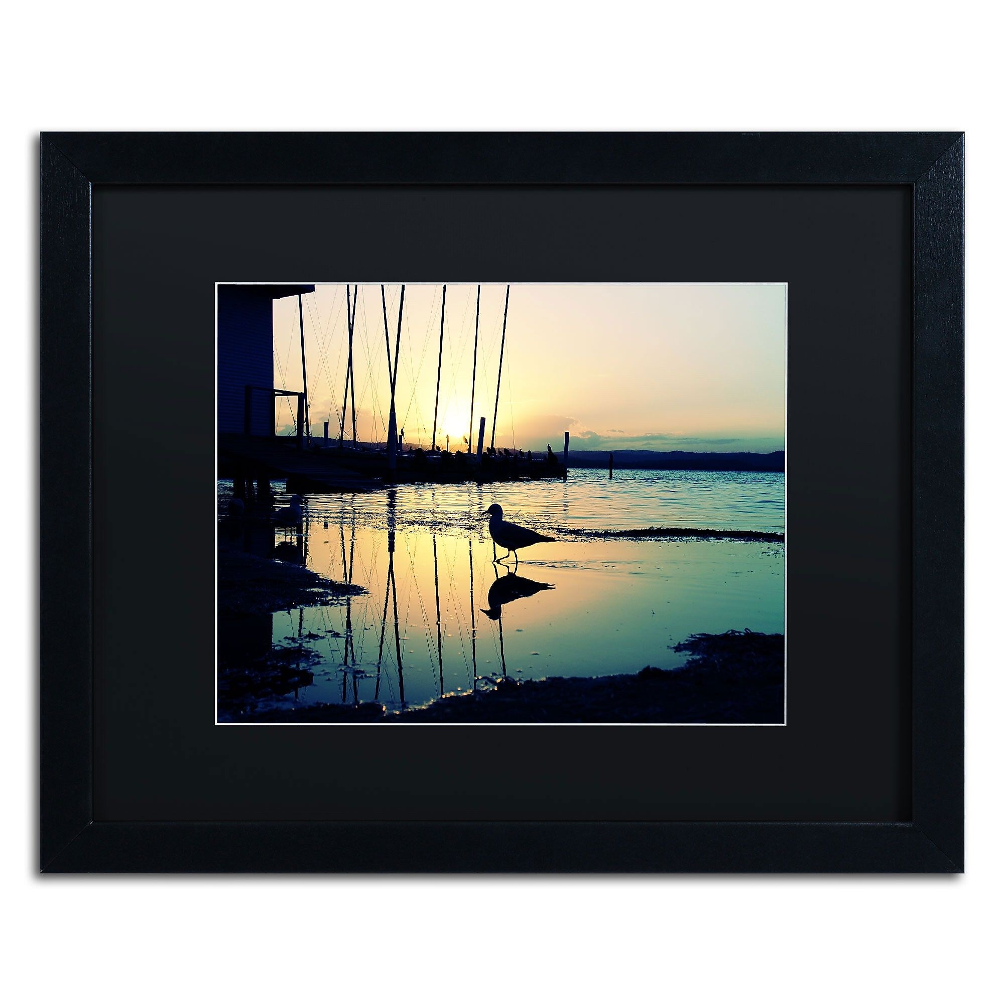 Trademark Fine Art BC0130-B1620BMF Lonely at Sunset by Beata Czyzowska Young 16x20 FRM Art, BLK MTD