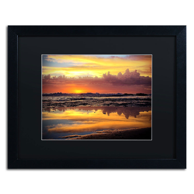 Trademark Fine Art BC0132-B1620BMF Morning Secrets by Beata Czyzowska Young 16x20 FRM Art, BLK MTD