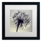 Trademark Fine Art BC0134-B1616MF "Morning Sparkles" by Beata Czyzowska Young 16" x 16" Framed Art