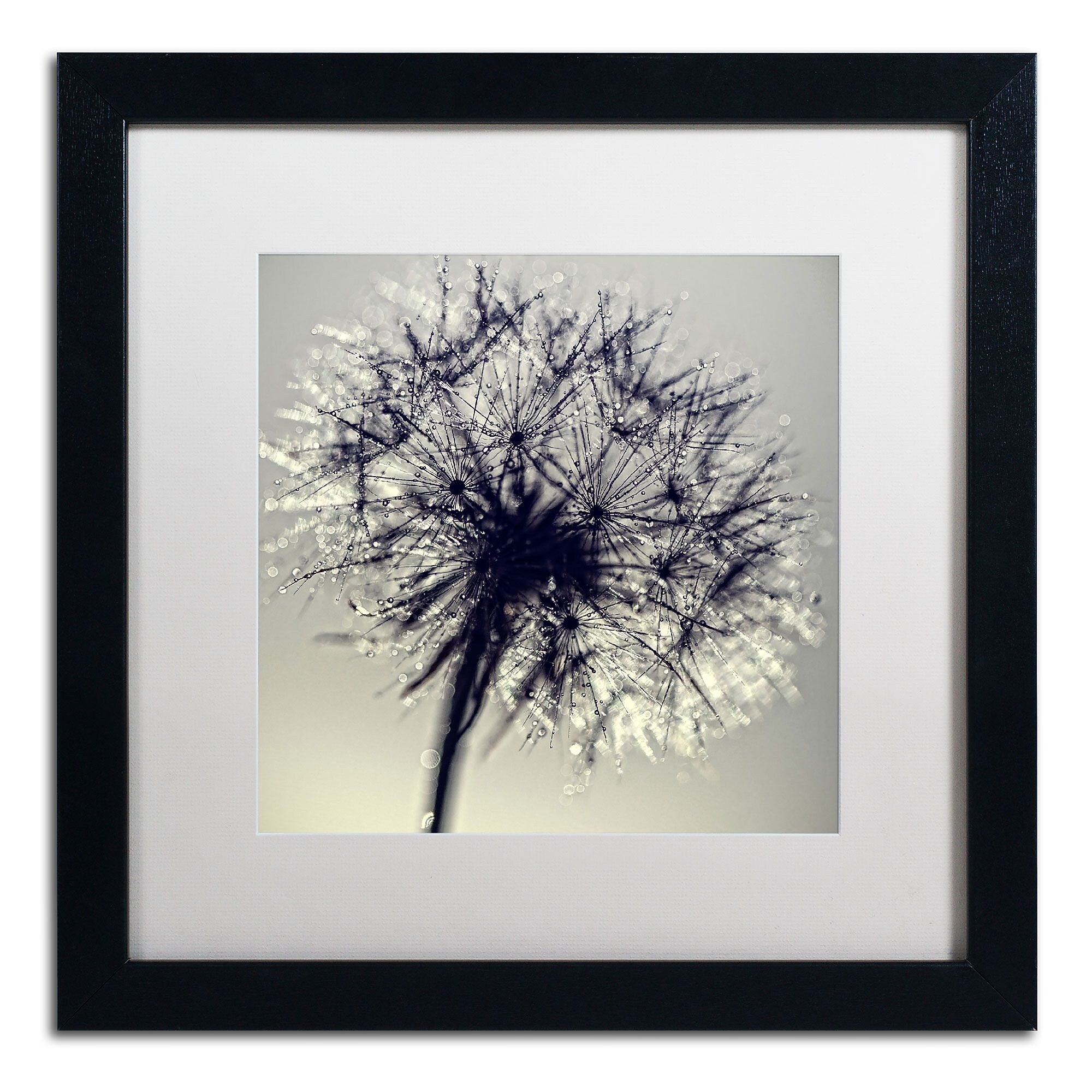 Trademark Fine Art BC0134-B1616MF "Morning Sparkles" by Beata Czyzowska Young 16" x 16" Framed Art