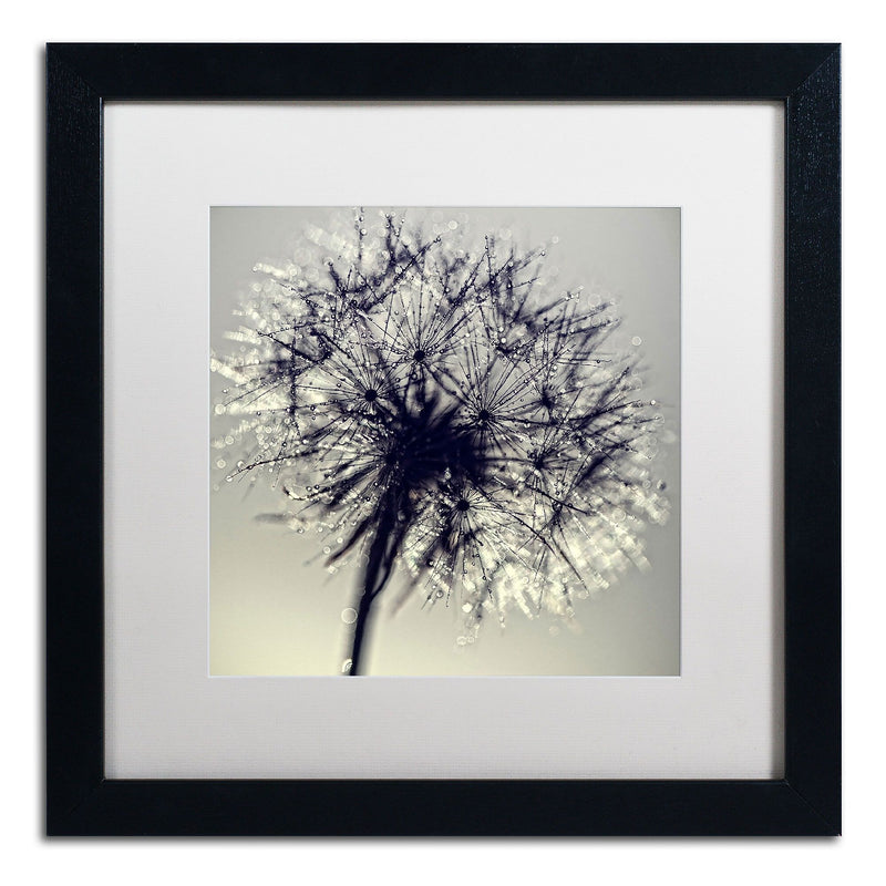 Trademark Fine Art BC0134-B1616MF "Morning Sparkles" by Beata Czyzowska Young 16" x 16" Framed Art