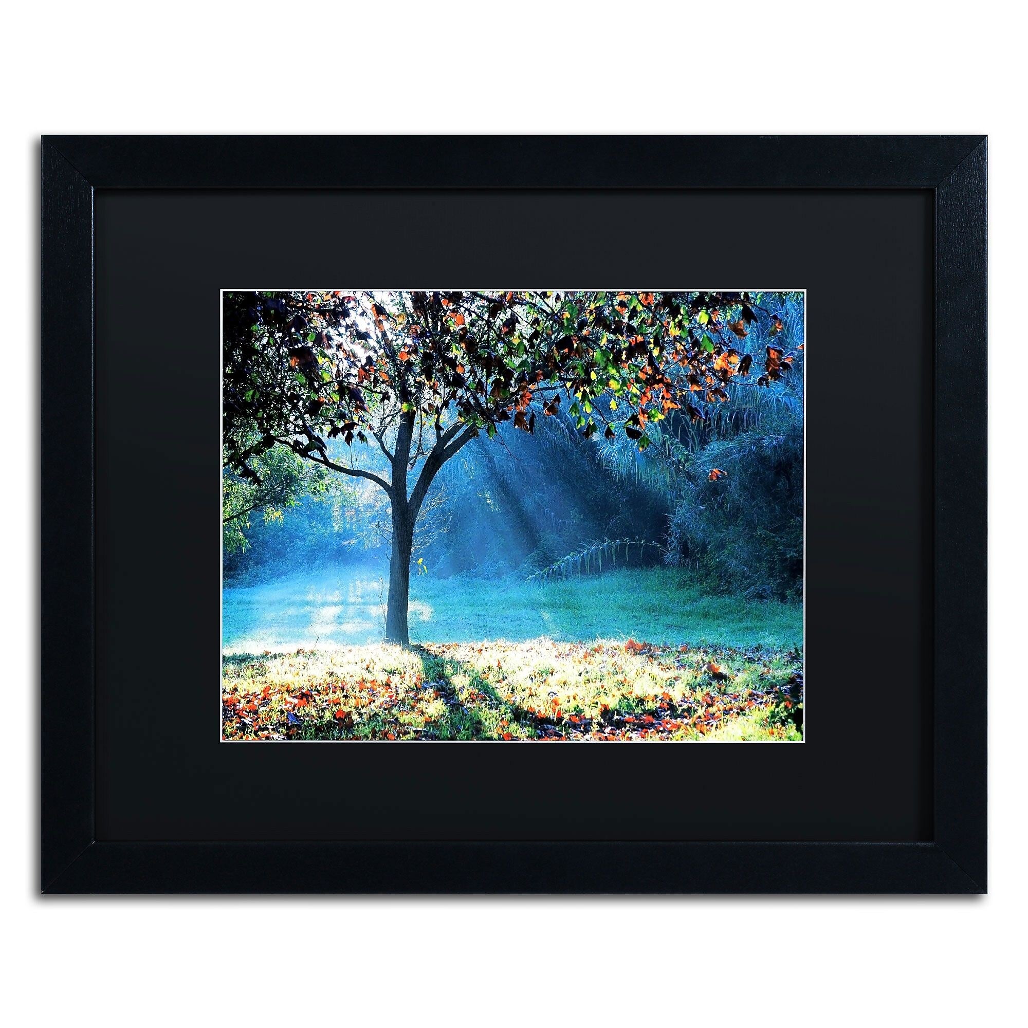 Trademark Fine Art BC0144-B1620BMF Rays of Hope by Beata Czyzowska Young 16x20 FRM Art, BLK MTD