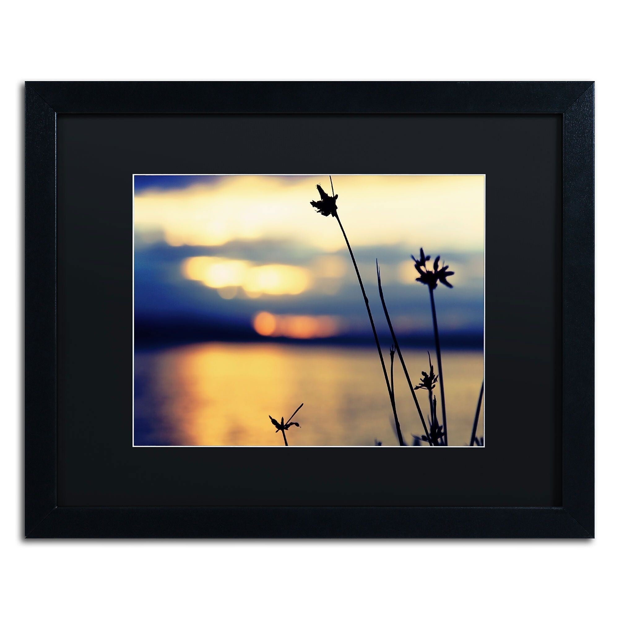 Trademark Fine Art BC0150-B1620BMF Sunset Thoughts by Beata Czyzowska Young 16x20 FRM Art, BLK MTD