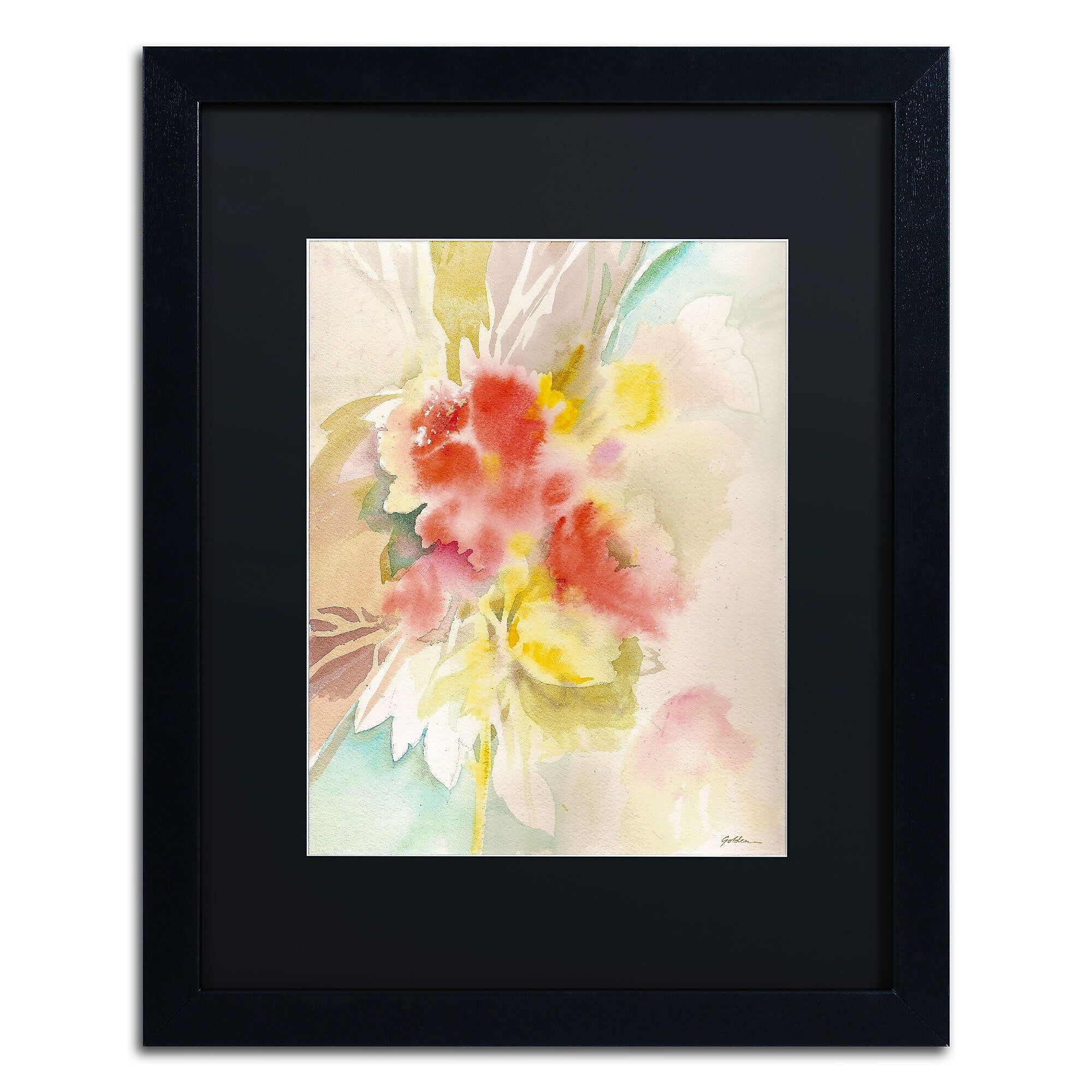 Trademark Fine Art SG5698-B1620BMF "Red Flower Shadows" by Sheila Golden 20" x 16" FRM Art, BLK MTD