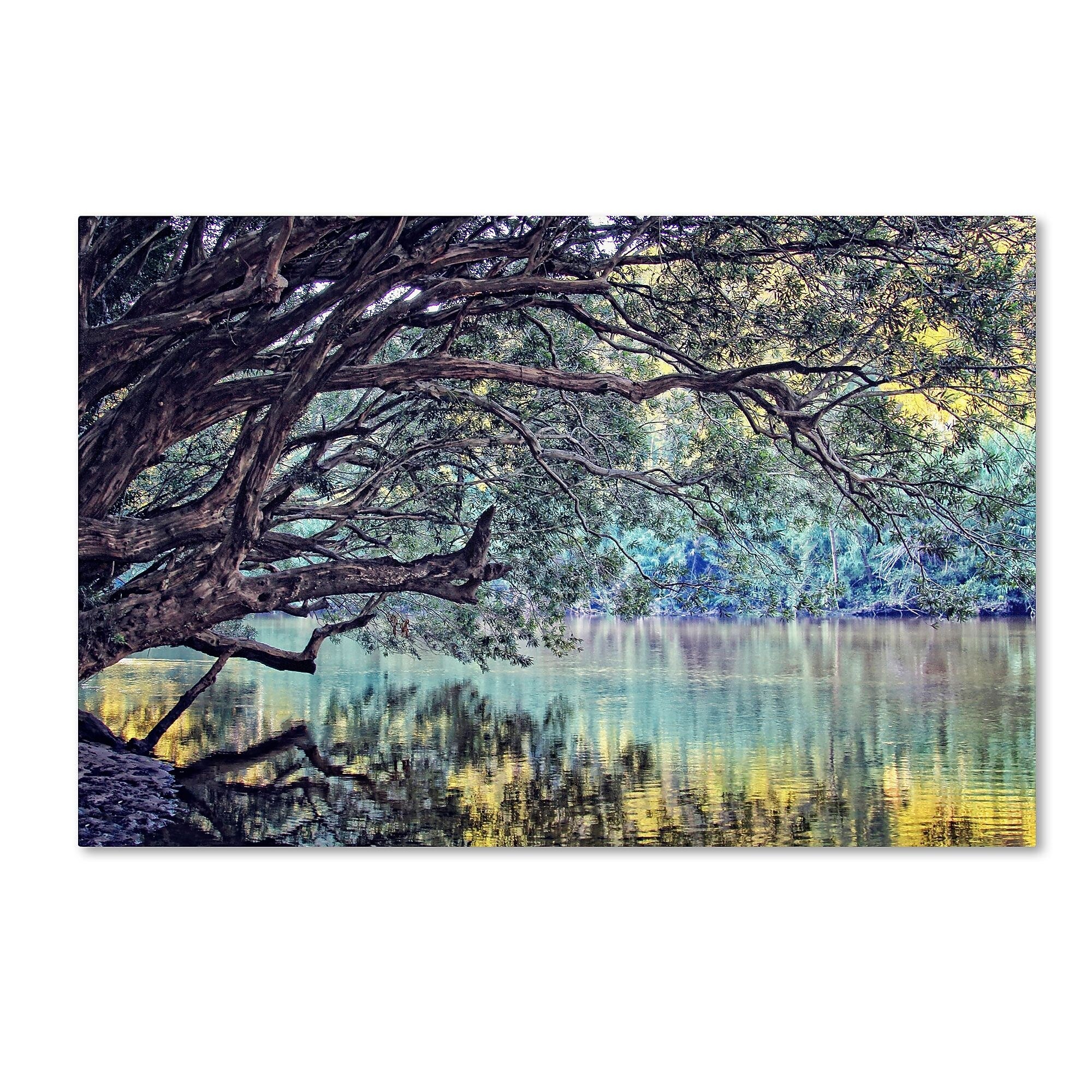 Trademark Fine Art BC0115-C2232GG "A Place to Dream" by Beata Czyzowska Young 22" x 32" FRMLS Art