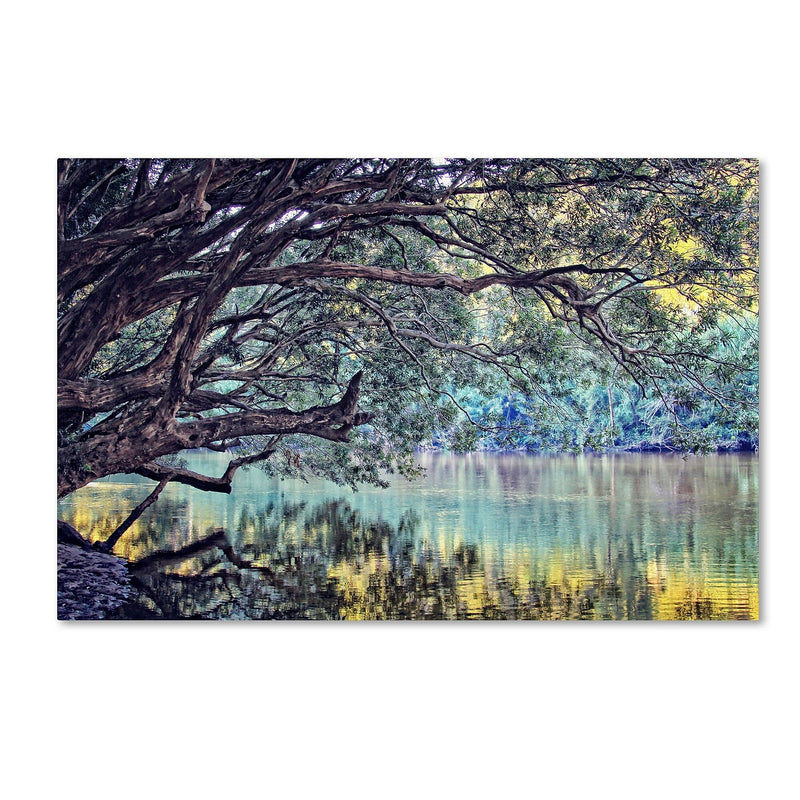 Trademark Fine Art BC0115-C2232GG "A Place to Dream" by Beata Czyzowska Young 22" x 32" FRMLS Art
