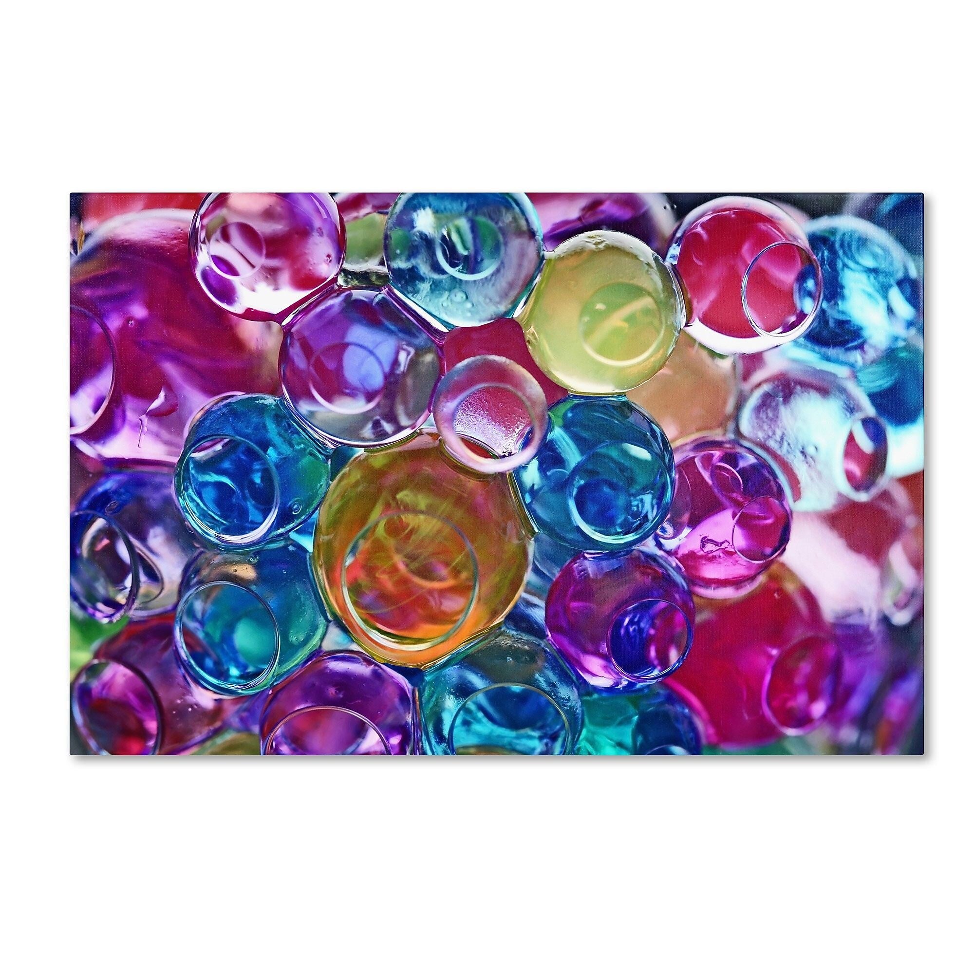 Trademark Fine Art BC0119-C3047GG "Dream in Colour" by Beata Czyzowska Young 30" x 47" Frameless Art