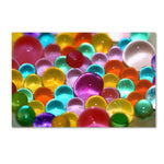 Trademark Fine Art BC0121-C2232GG "Festival of Colours" by Beata Czyzowska Young 22" x 32" FRMLS Art
