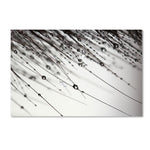 Trademark Fine Art BC0124-C3047GG "Her Wishes" by Beata Czyzowska Young 30" x 47" Frameless Art