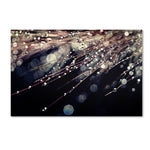 Trademark Fine Art BC0129-C3047GG "Little Wonders" by Beata Czyzowska Young 30" x 47" Frameless Art