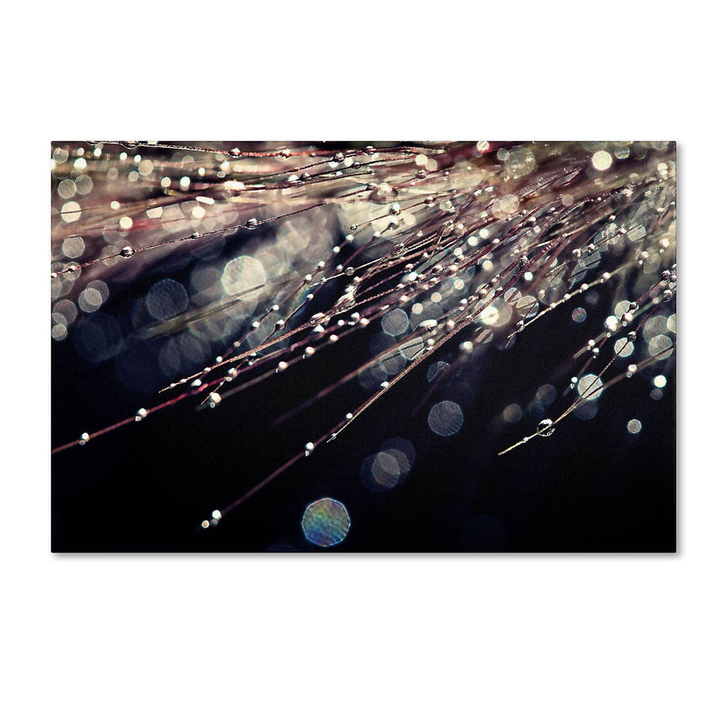 Trademark Fine Art BC0129-C3047GG "Little Wonders" by Beata Czyzowska Young 30" x 47" Frameless Art