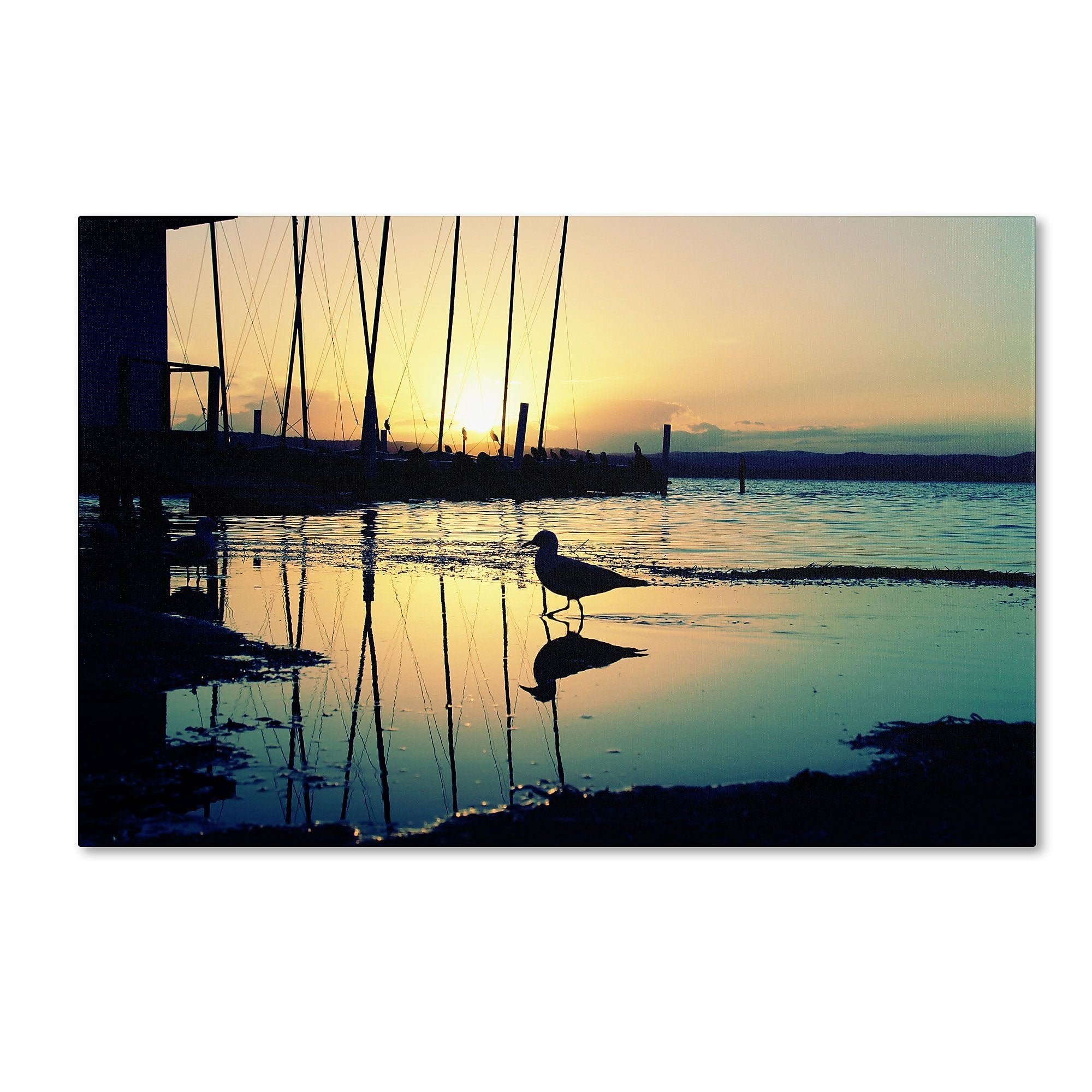 Trademark Fine Art BC0130-C2232GG "Lonely at Sunset" by Beata Czyzowska Young 22" x 32" FRMLS Art