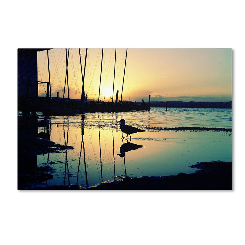 Trademark Fine Art BC0130-C2232GG "Lonely at Sunset" by Beata Czyzowska Young 22" x 32" FRMLS Art