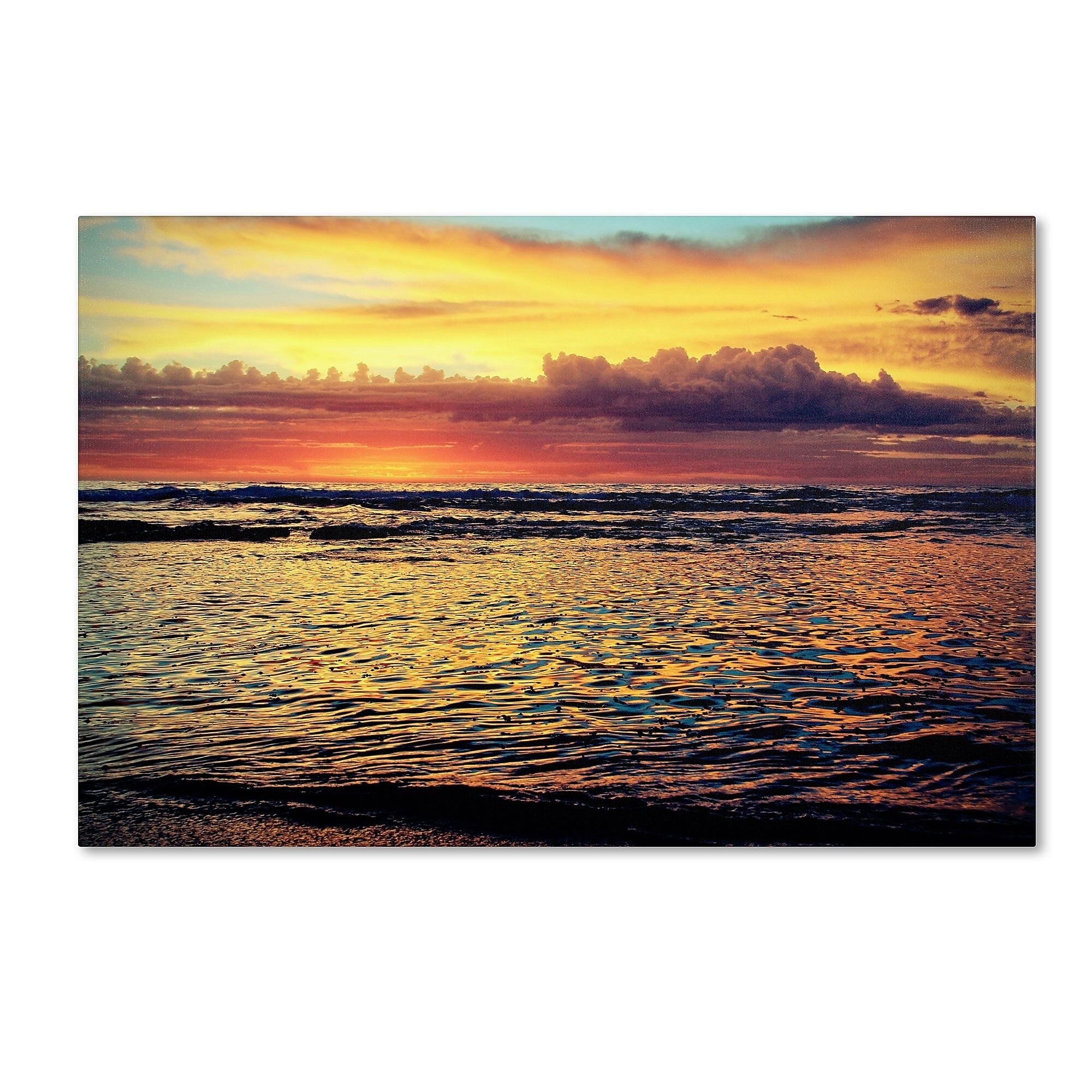 Trademark Fine Art BC0131-C3047GG "Morning Glory" by Beata Czyzowska Young 30" x 47" Frameless Art